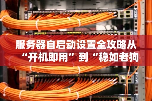 服务器自启动设置全攻略从“开机即用”到“稳如老狗”的终极指南