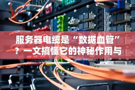 服务器电缆是“数据血管”？一文搞懂它的神秘作用与选购技巧！