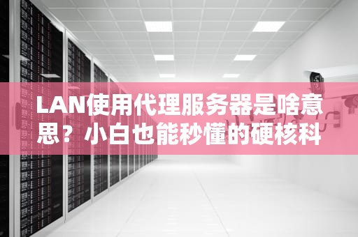 LAN使用代理服务器是啥意思？小白也能秒懂的硬核科普！