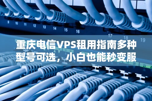 重庆电信VPS租用指南多种型号可选，小白也能秒变服务器老司机！