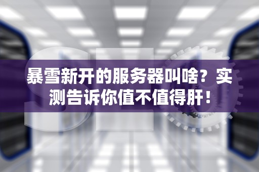 暴雪新开的服务器叫啥？实测告诉你值不值得肝！