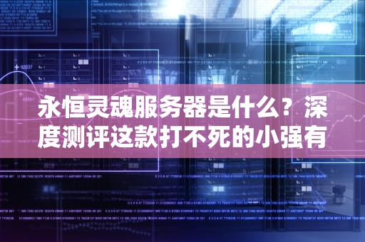 永恒灵魂服务器是什么？深度测评这款打不死的小强有多硬核！