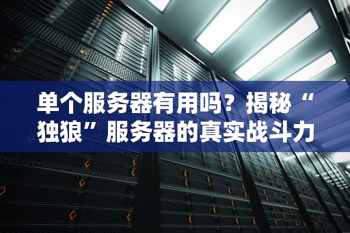单个服务器有用吗？揭秘“独狼”服务器的真实战斗力！