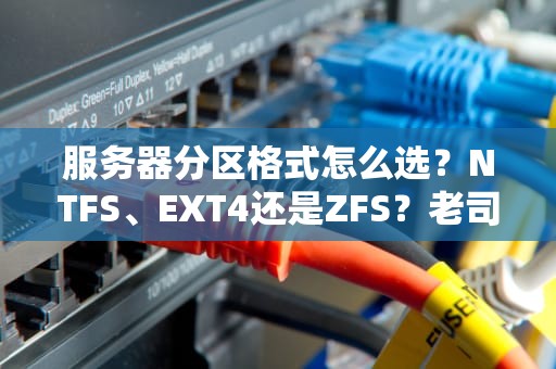 服务器分区格式怎么选？NTFS、EXT4还是ZFS？老司机带你避坑！