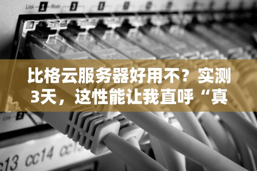 比格云服务器好用不？实测3天，这性能让我直呼“真香”！