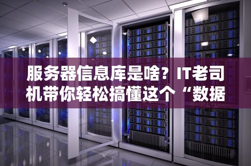 服务器信息库是啥？IT老司机带你轻松搞懂这个“数据大管家”！