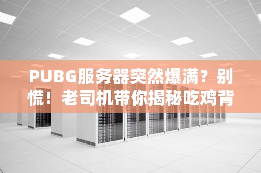 PUBG服务器突然爆满？别慌！老司机带你揭秘吃鸡背后的技术玄机