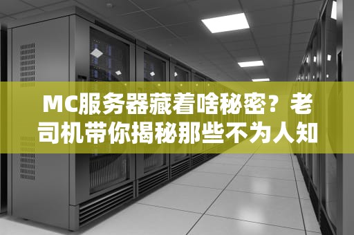 MC服务器藏着啥秘密？老司机带你揭秘那些不为人知的骚操作！