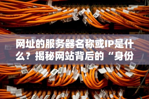 网址的服务器名称或IP是什么？揭秘网站背后的“身份证”与“门牌号”！