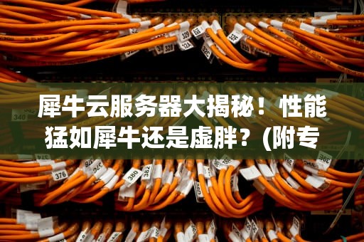 犀牛云服务器大揭秘！性能猛如犀牛还是虚胖？(附专业测评)