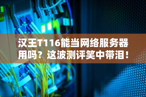 汉王T116能当网络服务器用吗？这波测评笑中带泪！