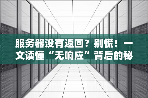 服务器没有返回？别慌！一文读懂“无响应”背后的秘密