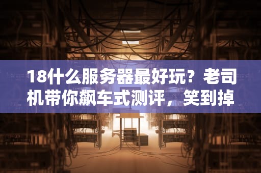18什么服务器最好玩？老司机带你飙车式测评，笑到掉帧！