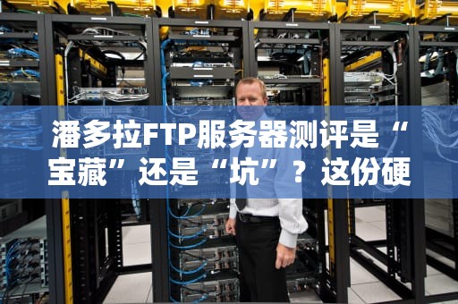 潘多拉FTP服务器测评是“宝藏”还是“坑”？这份硬核指南帮你避雷！