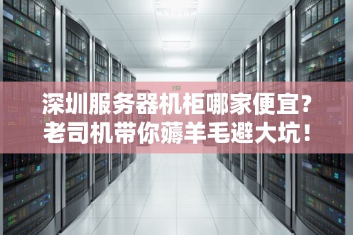 深圳服务器机柜哪家便宜？老司机带你薅羊毛避大坑！