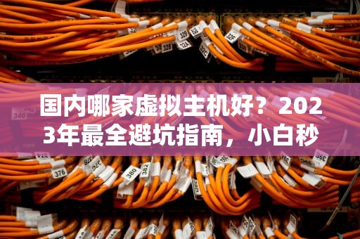 国内哪家虚拟主机好？2023年最全避坑指南，小白秒变老司机！