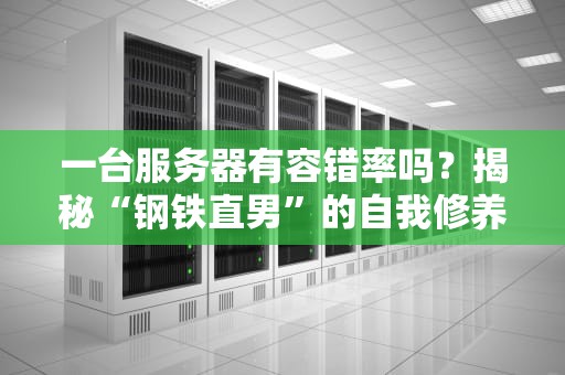 一台服务器有容错率吗？揭秘“钢铁直男”的自我修养