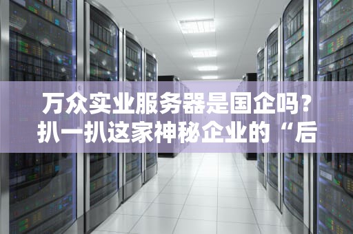 万众实业服务器是国企吗？扒一扒这家神秘企业的“后台”真相！
