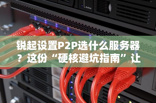 锐起设置P2P选什么服务器？这份“硬核避坑指南”让你笑出腹肌！
