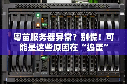 粤苗服务器异常？别慌！可能是这些原因在“捣蛋”