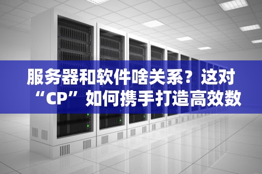 服务器和软件啥关系？这对“CP”如何携手打造高效数字世界？