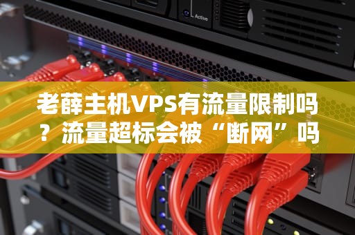 老薛主机VPS有流量限制吗？流量超标会被“断网”吗？真相+避坑指南！