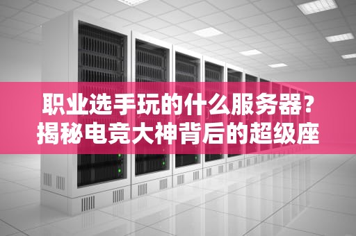 职业选手玩的什么服务器？揭秘电竞大神背后的超级座驾！