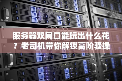 服务器双网口能玩出什么花？老司机带你解锁高阶骚操作！