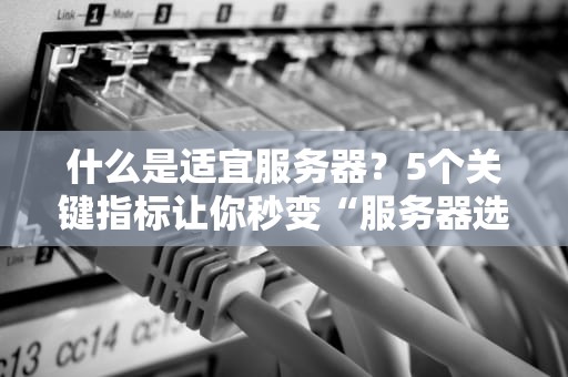 什么是适宜服务器？5个关键指标让你秒变“服务器选型老司机”！