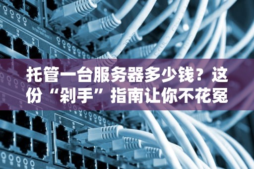 托管一台服务器多少钱？这份“剁手”指南让你不花冤枉钱！