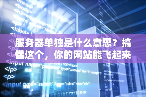 服务器单独是什么意思？搞懂这个，你的网站能飞起来！