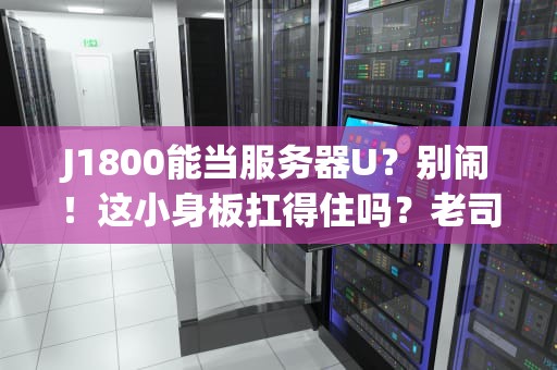 J1800能当服务器U？别闹！这小身板扛得住吗？老司机实测告诉你真相！