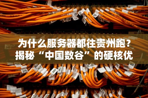为什么服务器都往贵州跑？揭秘“中国数谷”的硬核优势！