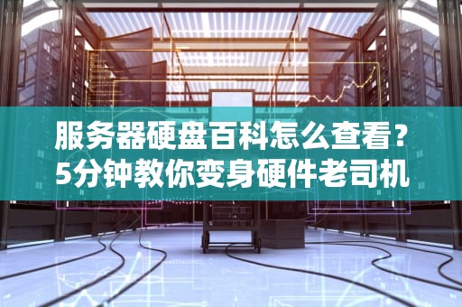 服务器硬盘百科怎么查看？5分钟教你变身硬件老司机！