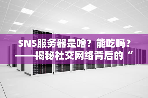 SNS服务器是啥？能吃吗？——揭秘社交网络背后的“超级大厨”