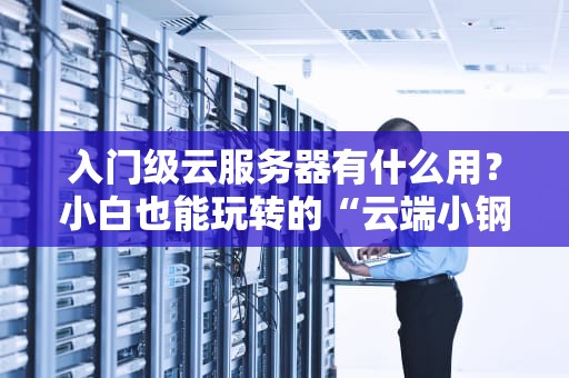 入门级云服务器有什么用？小白也能玩转的“云端小钢炮”
