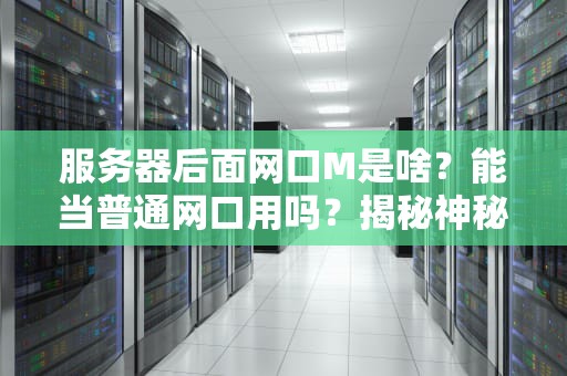 服务器后面网口M是啥？能当普通网口用吗？揭秘神秘接口的隐藏技能！