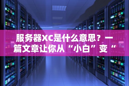 服务器XC是什么意思？一篇文章让你从“小白”变“大神”！