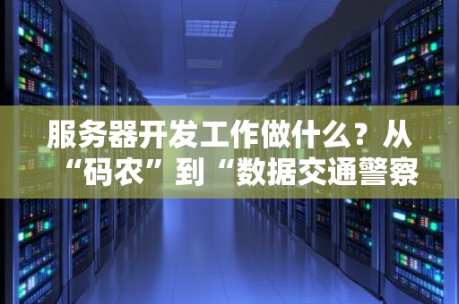 服务器开发工作做什么？从“码农”到“数据交通警察”的奇妙转变
