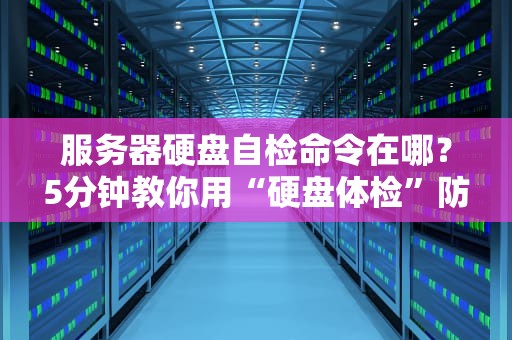 服务器硬盘自检命令在哪？5分钟教你用“硬盘体检”防翻车！