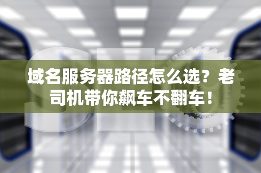 域名服务器路径怎么选？老司机带你飙车不翻车！