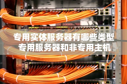 专用实体服务器有哪些类型 专用服务器和非专用主机游戏