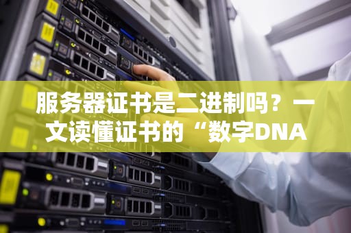 服务器证书是二进制吗？一文读懂证书的“数字DNA”