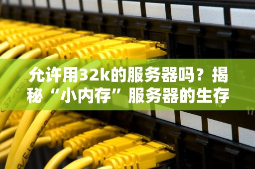 允许用32k的服务器吗？揭秘“小内存”服务器的生存法则！