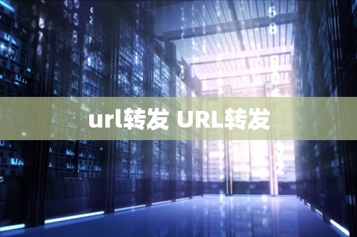 url转发 URL转发