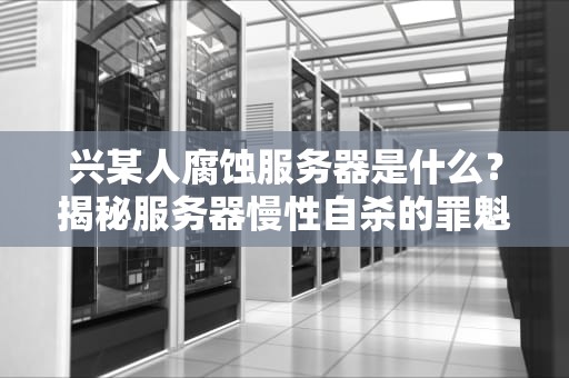 兴某人腐蚀服务器是什么？揭秘服务器慢性自杀的罪魁祸首！