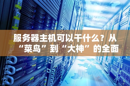 服务器主机可以干什么？从“菜鸟”到“大神”的全面指南！