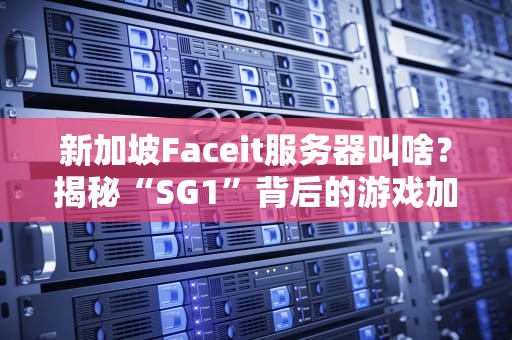 新加坡Faceit服务器叫啥？揭秘“SG1”背后的游戏加速黑科技！