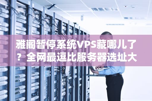 雅阁暂停系统VPS藏哪儿了？全网最逗比服务器选址大揭秘！