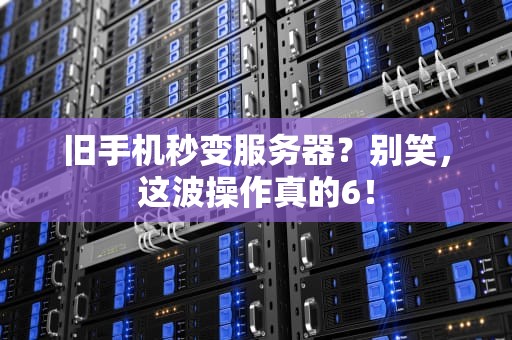 旧手机秒变服务器？别笑，这波操作真的6！